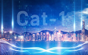 工信部重磅發(fā)文，Cat-1/NB-IoT再次站上新風(fēng)口