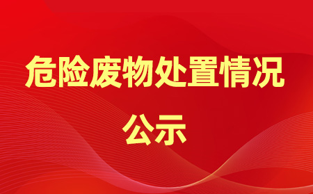 2024年危險廢物產(chǎn)生、處置情況公示